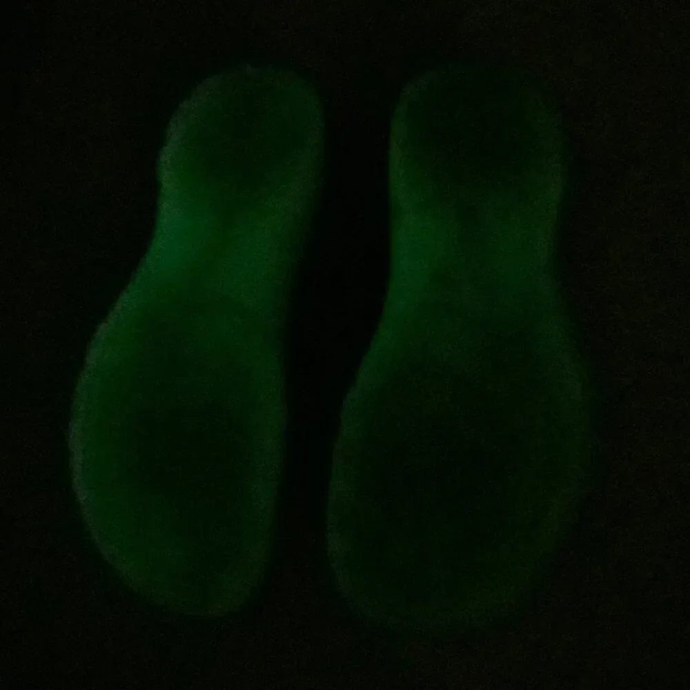 KEEN Big Kids Newport H2 Glow In The Dark Water Shoes Sandals 6 Gray